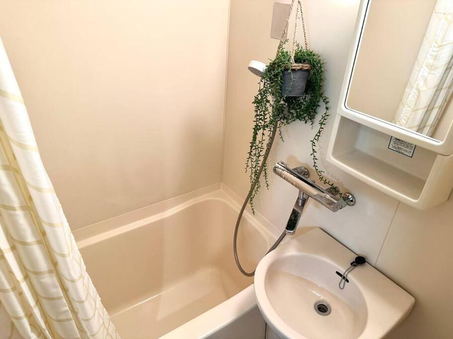 Apartemen K Shinjuku Area-max 4p-新宿中心地域-步行可到新宿大久保歌舞伎町-可住4人 *
